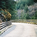 wooden roadway